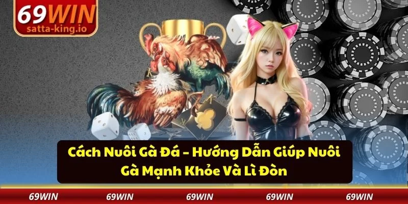 cách nuôi gà đá