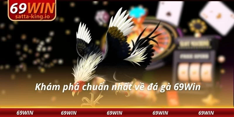 Khám phá chuẩn nhất về đá gà 69Win